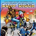 Madlib Medicine Show #5: The History of the Loop Digga, 1990-2000专辑