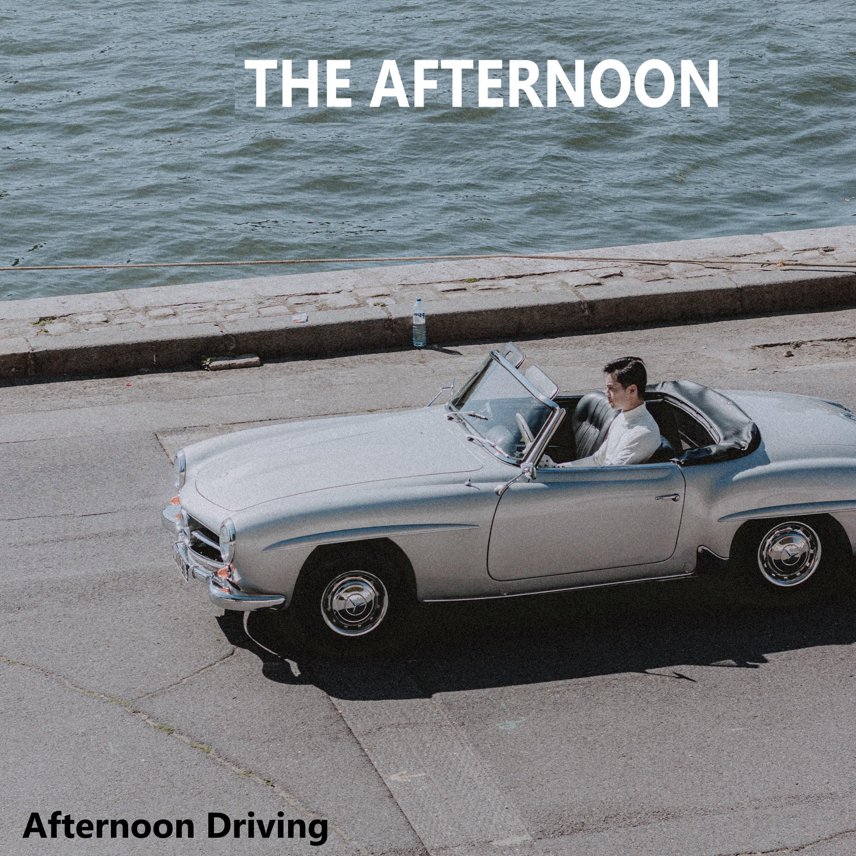 Afternoon Driving