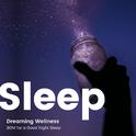 The 睡眠 -Dreaming Wellness- ぐっすり眠りに入れるBGM专辑