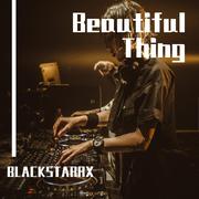 Various Artists-Beautiful Thing（BLACKSTARRX remix）