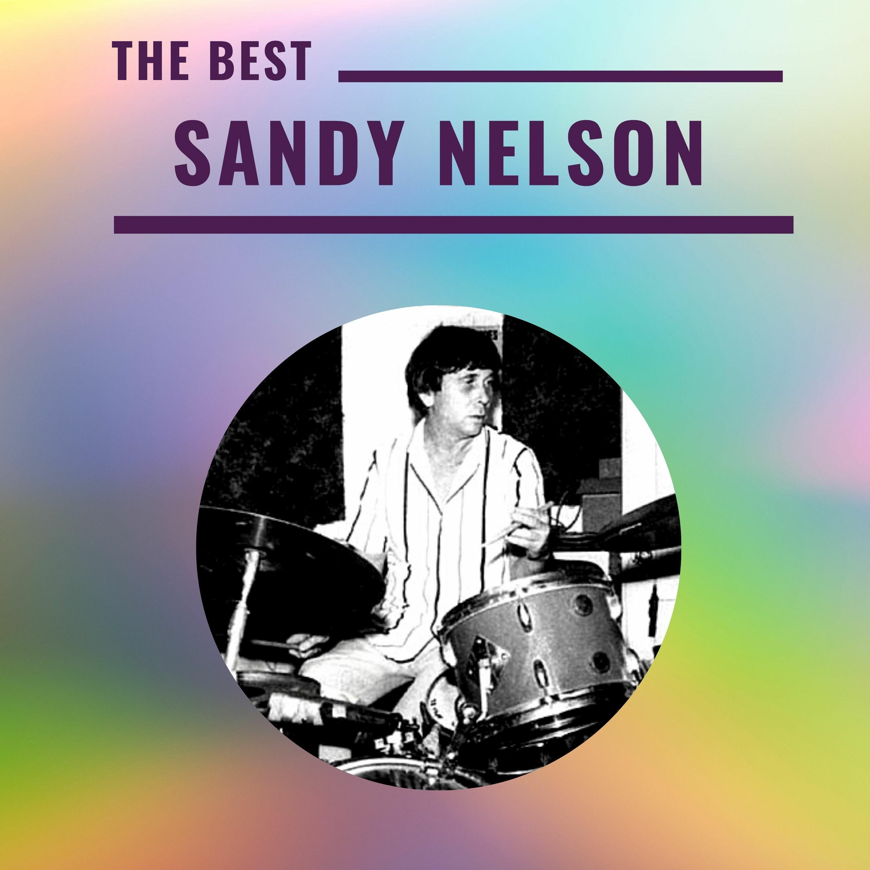 Sandy Nelson - The Best