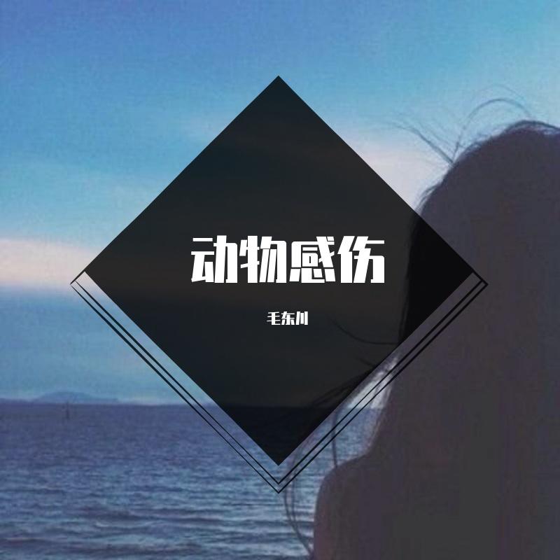 相爱后动物感伤