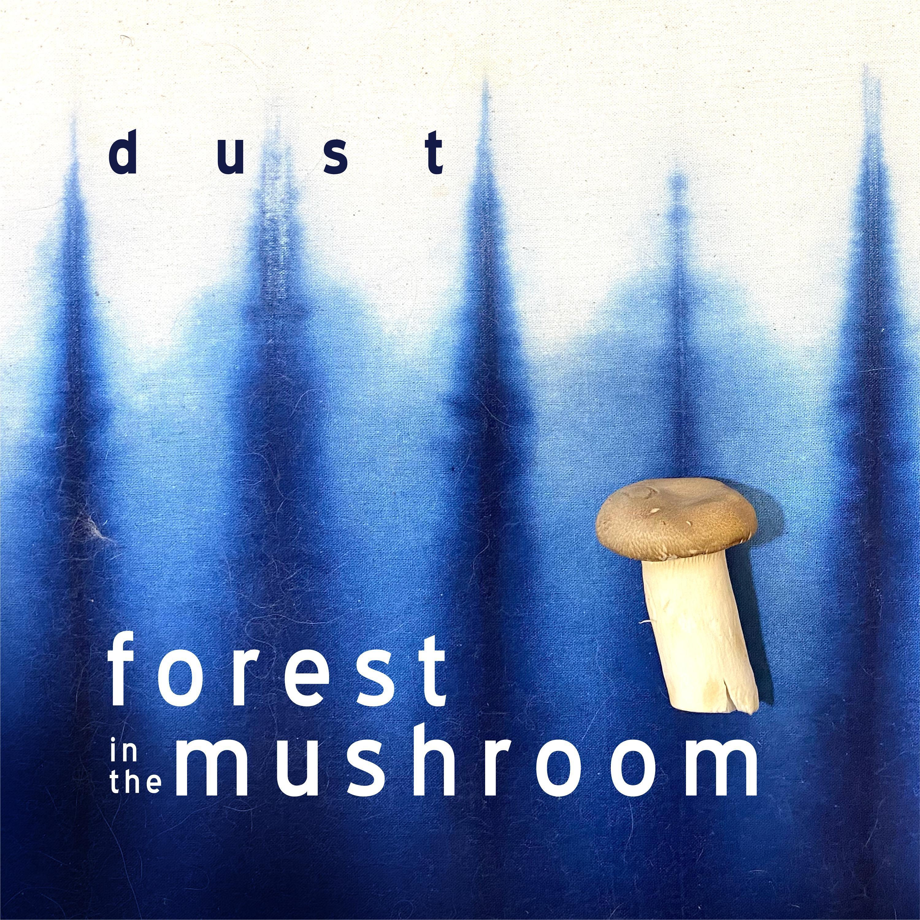 forest in the mushroom