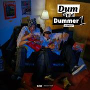 Dum and Dummer 1 : "2 idiots"