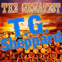 Do You Wanna Go To Heaven - T.g. Sheppard (karaoke)