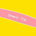 Dynamic Fish专辑