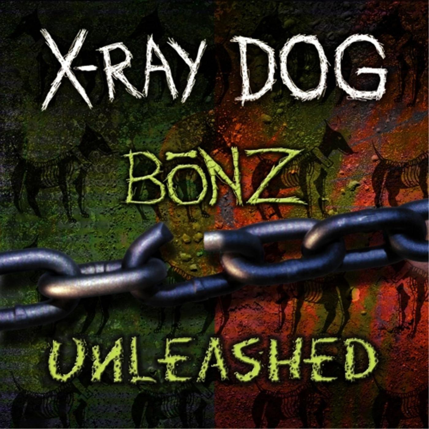 Bonz / Unleashed专辑