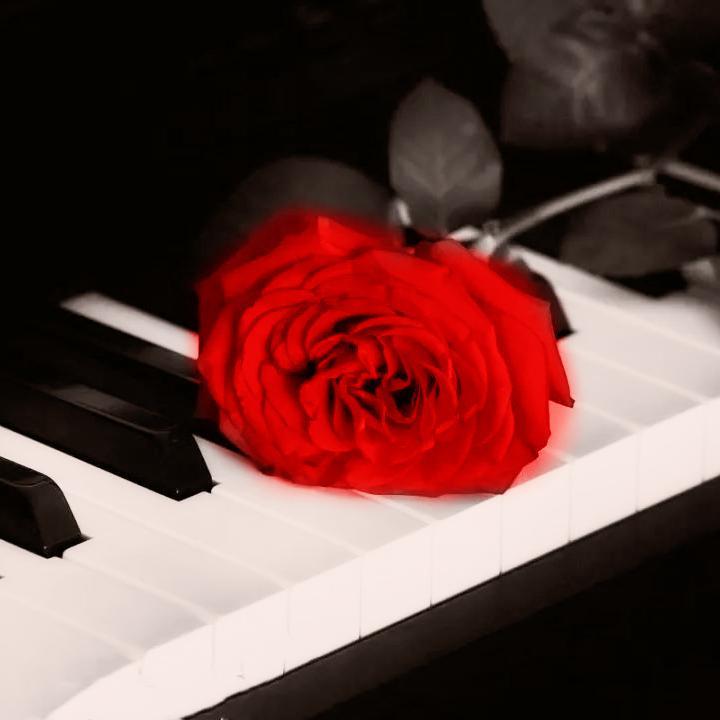 八音箱の曲（翻自 魔女之家）