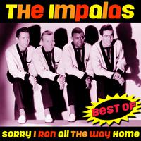 Sorry I Ran All The Way Home - Impalas The (karaoke)