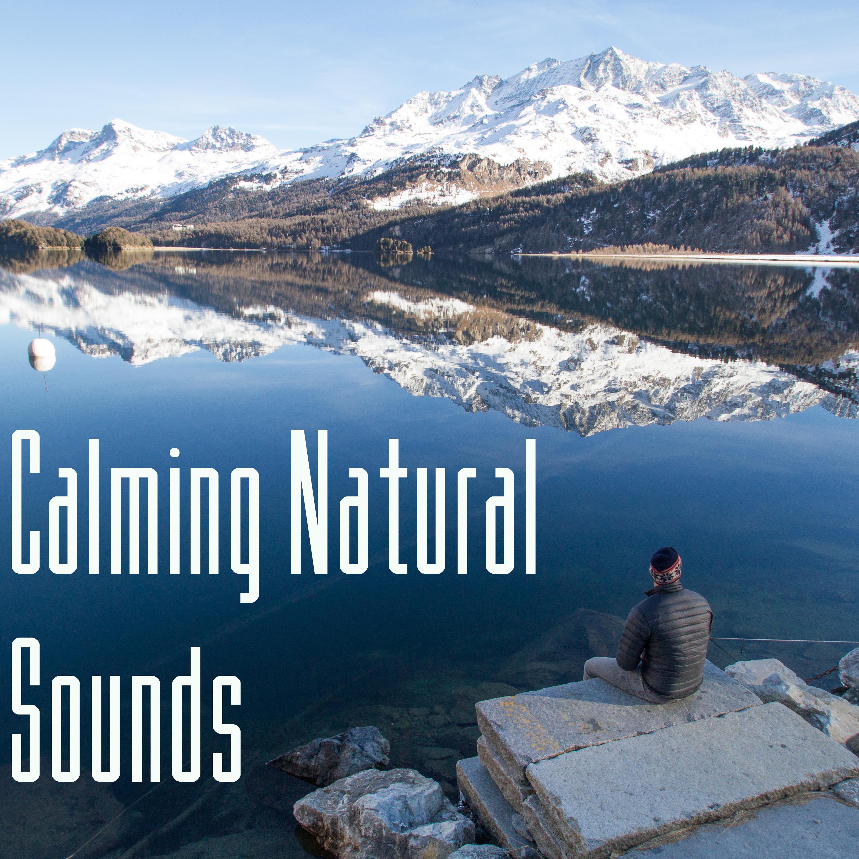 12 Calming Natural Sounds of Nature专辑