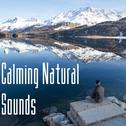 12 Calming Natural Sounds of Nature专辑