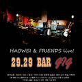 29x29 Bar Gig Live