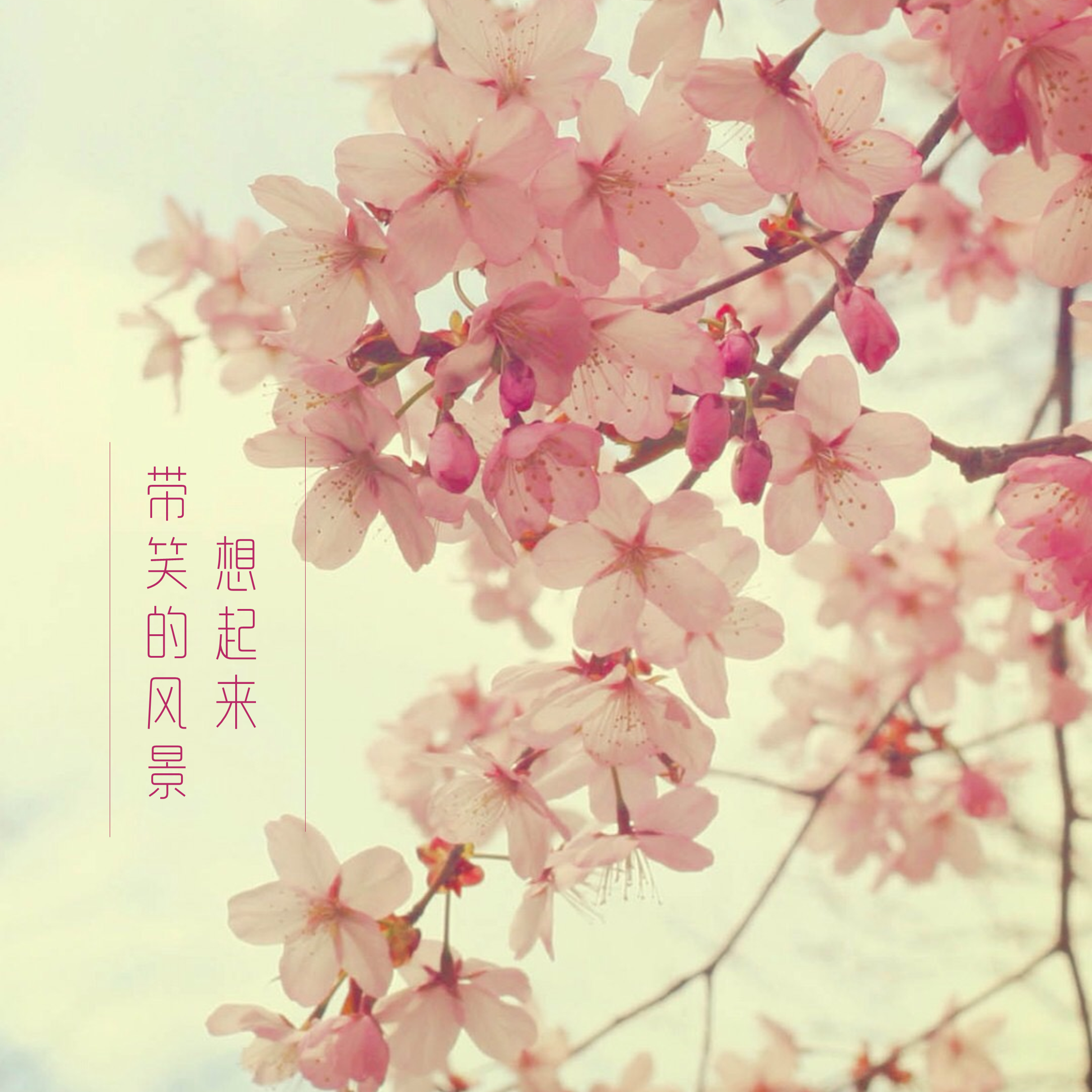 一厢情愿的不舍（女生版）