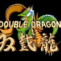 雙截龍/Double Dragon