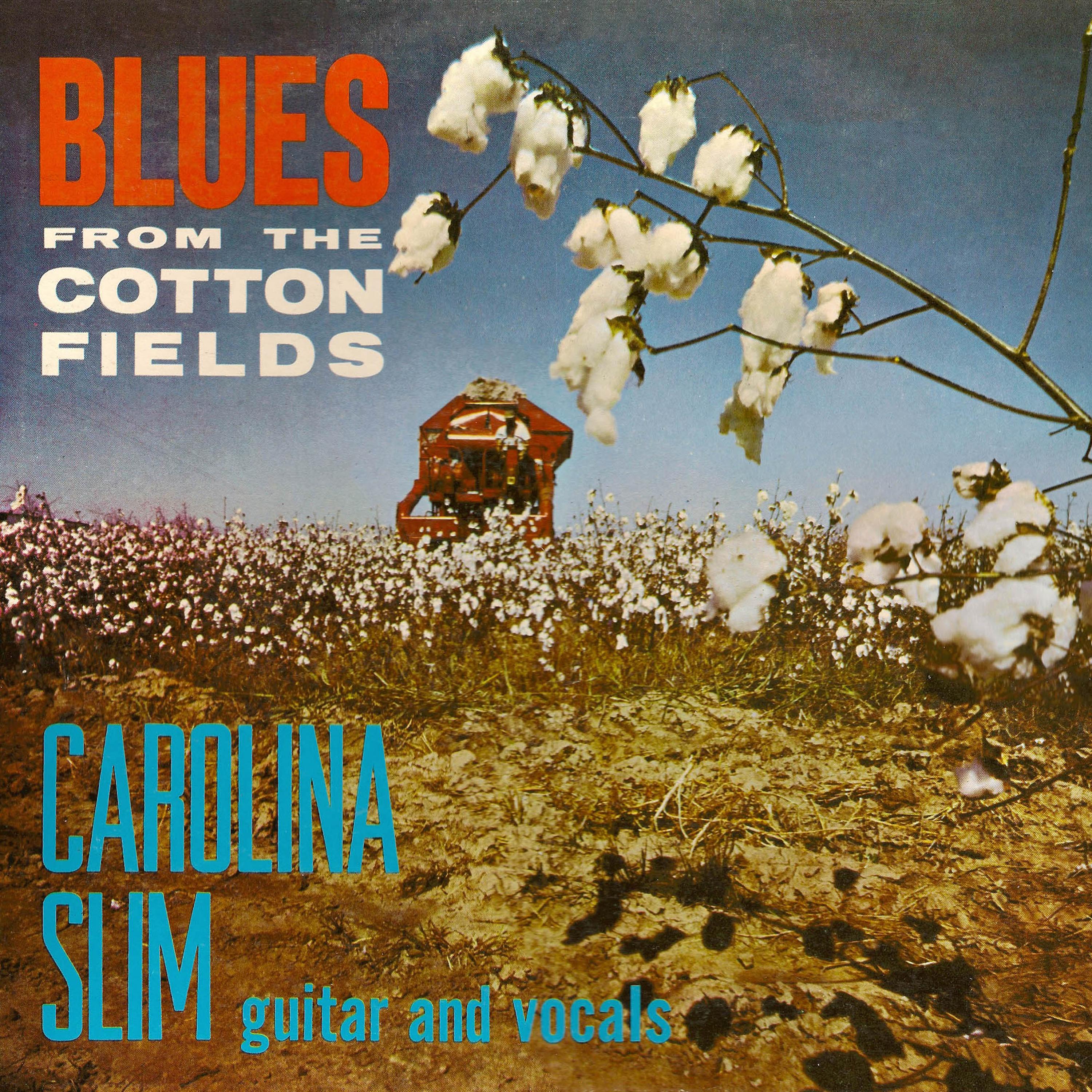 Blues from the Cotton Fields