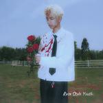 Rose Stole Youth专辑