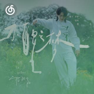 小提琴精选|从《愿她被世界温柔以待》听起