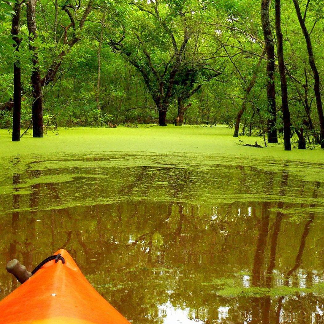 原谅我陌生的眼光