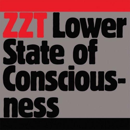 Lower State of Consciousness