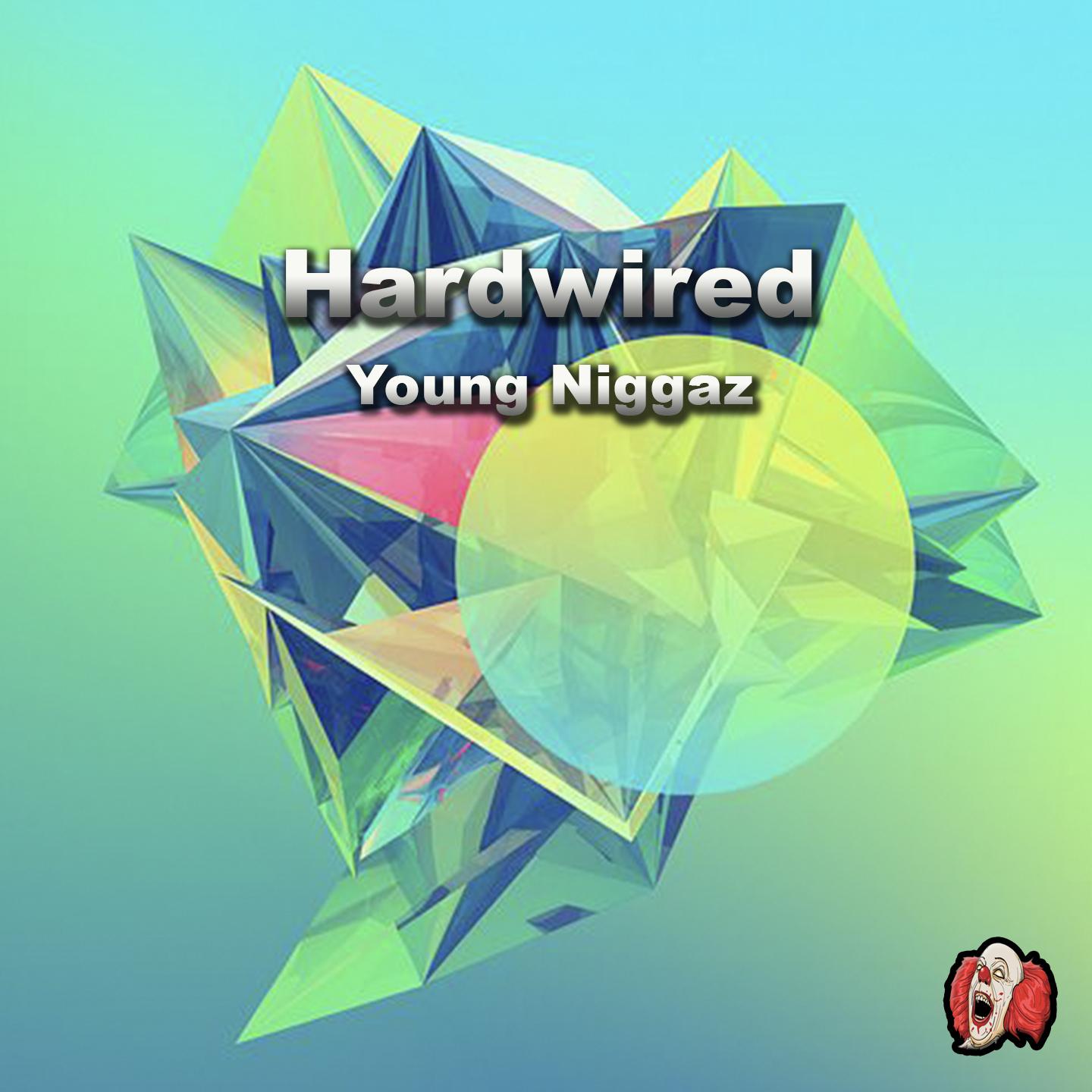 Young Niggaz专辑