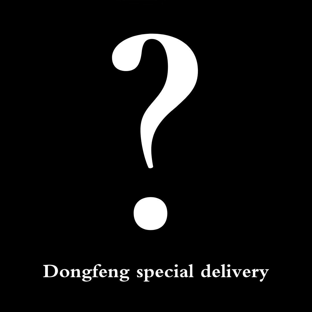 Dongfeng special delivery