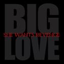Big Love专辑