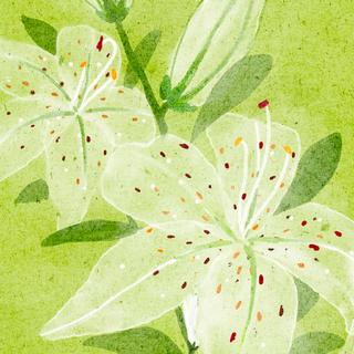 夏日气息/轻音乐/自然 清新 欢快 阳光