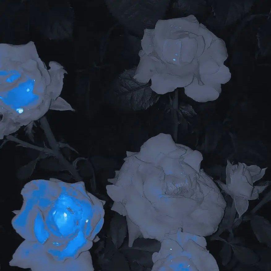 Ephemeral Memories（slowed+降调）