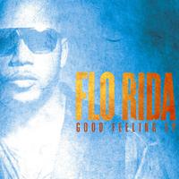 X8055 Flo Rida Whistle+Turn Around +Good Feeling+I