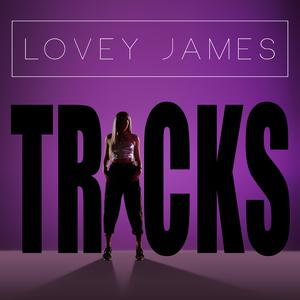 Lovey James - Tricks (Pre-V) 带和声伴奏 （降5半音）