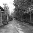 街道