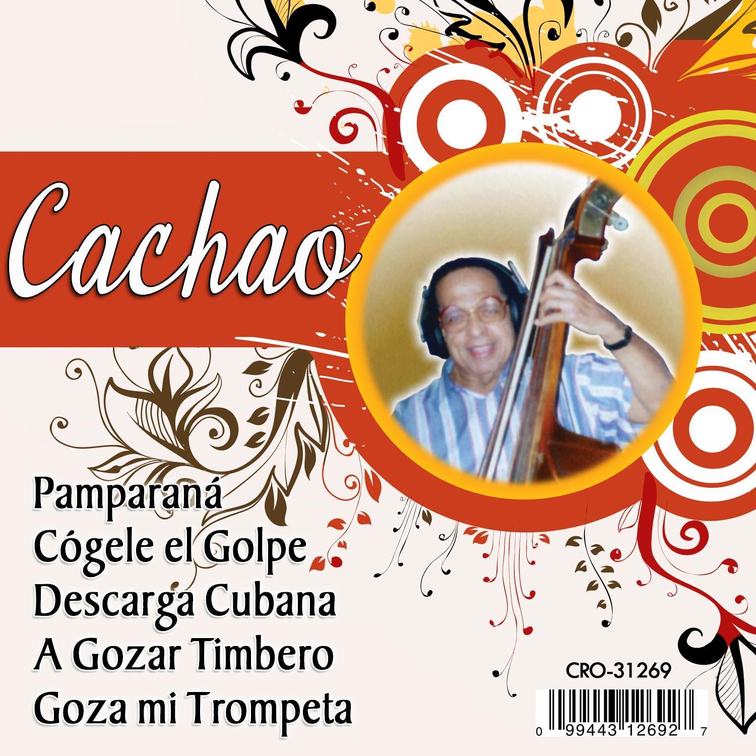 Descargas