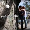 Pax - Splendida