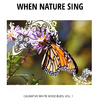 Ema Smith Melodic Nature Noise - Birds in Joy