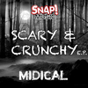 MIDIcal - Scary & Crunchy (Original Mix)