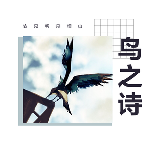 air鸟之诗-钢琴版op