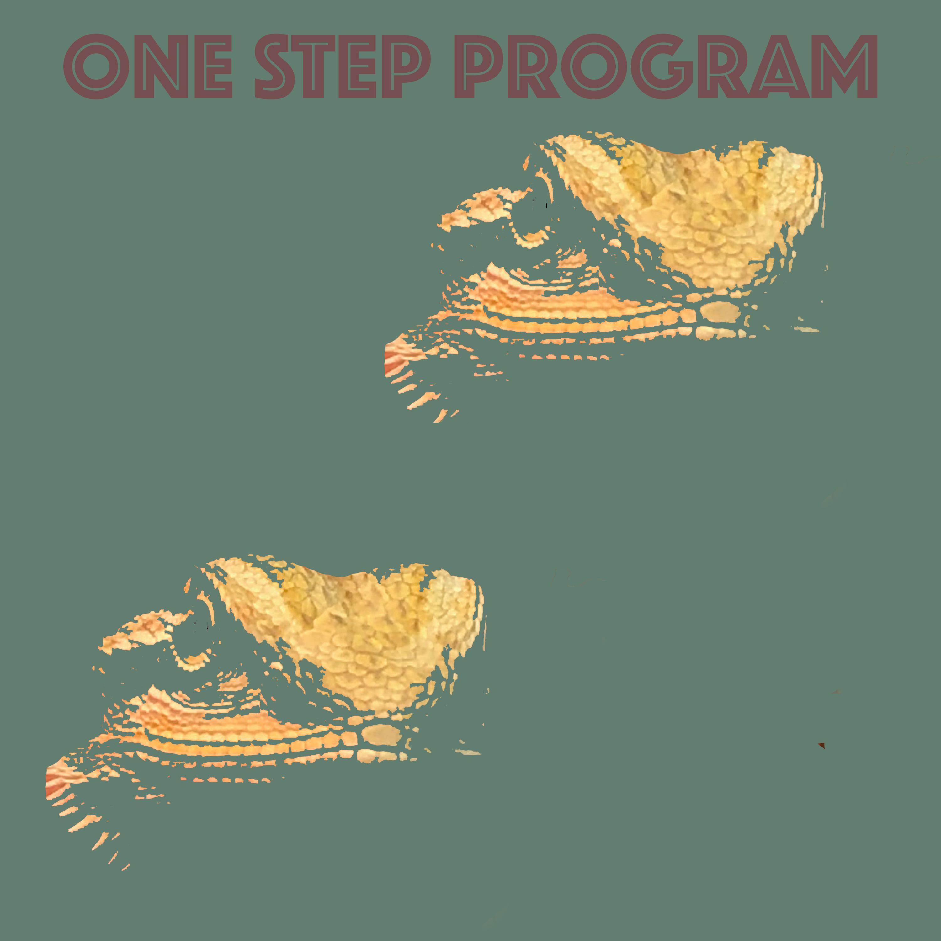 One Step Program - Ten Cups Of Coffee (Short Fuse Mix)