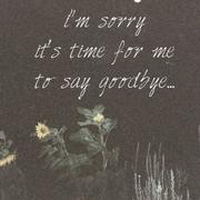 I'm Sorry, It's Time for me to Say Goodbye...