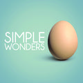 Simple Wonders