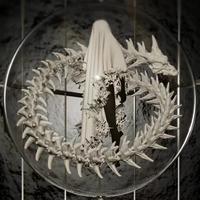 Tokyo Temperature (SRY & DBV 'Spaceman' Toneplay Bootleg)