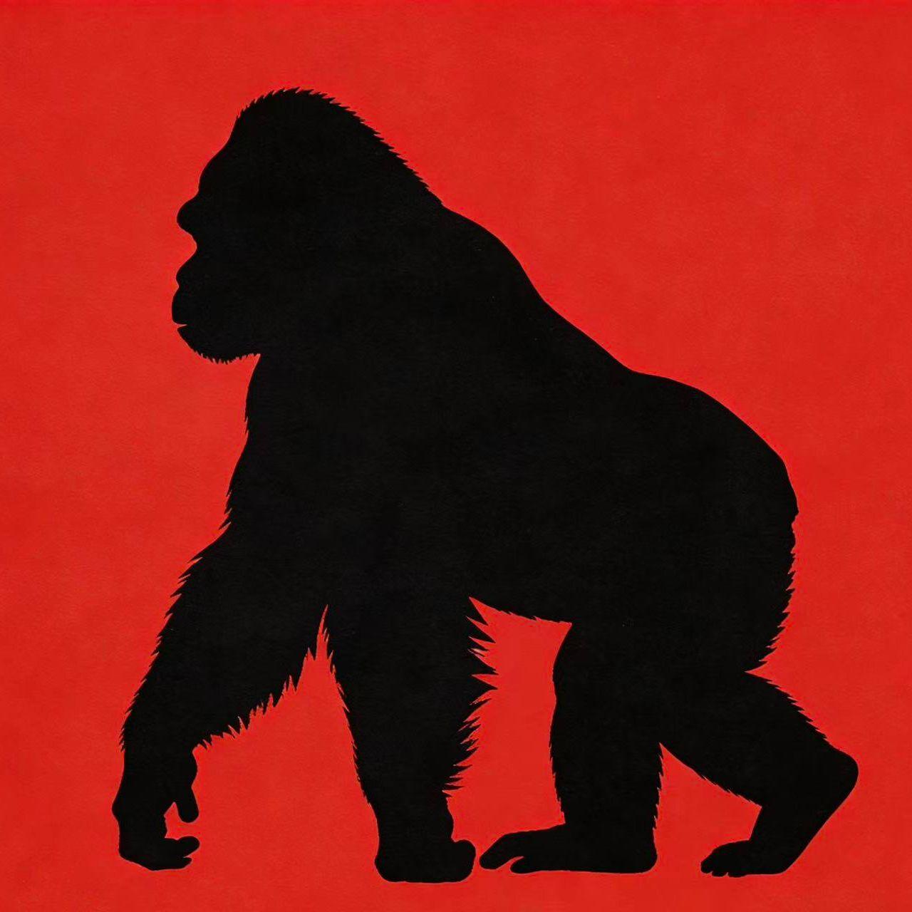 狂人freestyle（Prod By 9Zi)