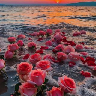 落日余晖• 去吹傍晚海风 去拾起海边的浪漫