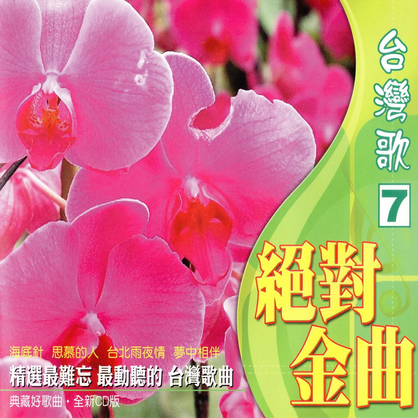 台湾歌 绝对金曲（7） (海底针，思慕的人，台北雨夜情，梦中相伴！)