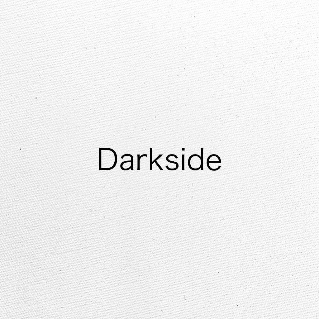 Darkside（cover：Alan Walker）专辑