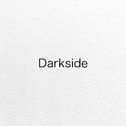 Darkside（cover：Alan Walker）专辑