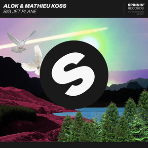 Alok, Mathieu Koss - Big Jet Plane (Pharmacist Remix) (Instrumental) 原版无和声伴奏 （升4半音）