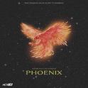 Phoenix专辑