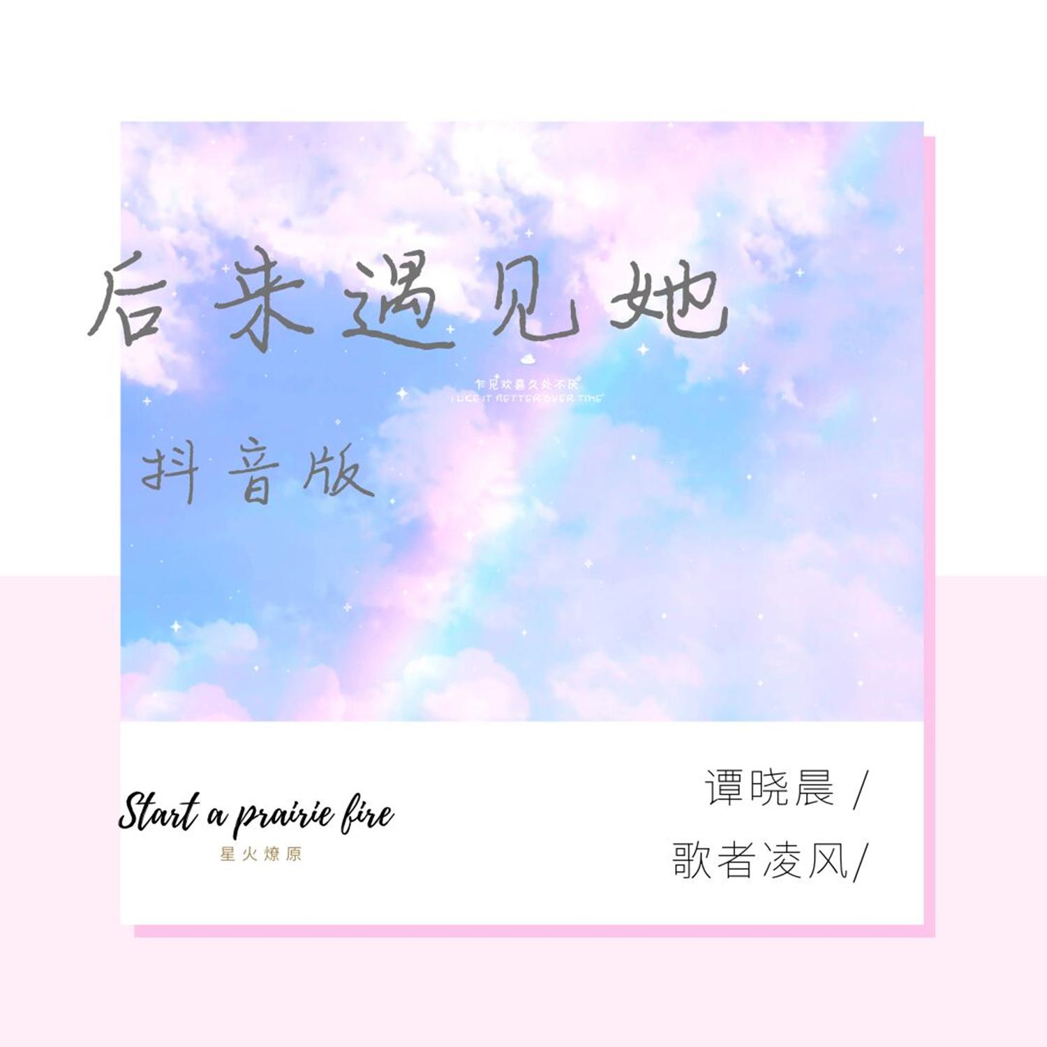 后来遇见他(抖音版)