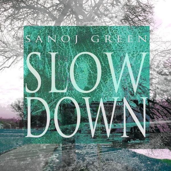 Slow Down (Standard Version)
