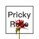 Prickly Rose专辑